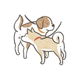 Shiba Inu Memes WhatsApp Sticker #30