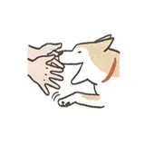 Sticker 31