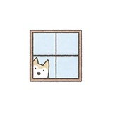 Shiba Inu Memes WhatsApp Sticker #6