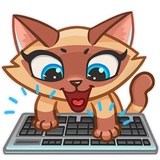 Siamese Kitty WhatsApp Sticker #10