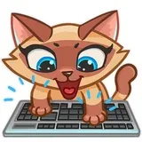 Sticker 10
