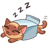 Siamese Kitty WhatsApp Sticker #13