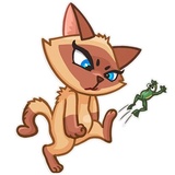 Siamese Kitty WhatsApp Sticker #14