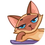 Siamese Kitty WhatsApp Sticker #16