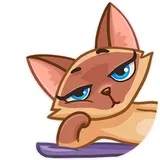Sticker 16