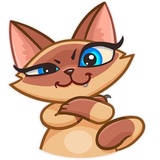 Siamese Kitty WhatsApp Sticker #18