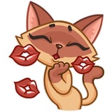 Siamese Kitty WhatsApp Sticker #2
