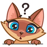 Siamese Kitty WhatsApp Sticker #22