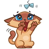 Siamese Kitty WhatsApp Sticker #23