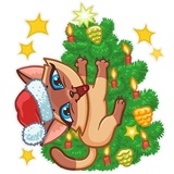 Siamese Kitty WhatsApp Sticker #24