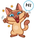 Siamese Kitty WhatsApp Sticker #5