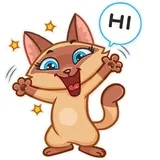 Sticker 5