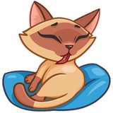 Siamese Kitty WhatsApp Sticker #8