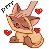 Siamese Kitty WhatsApp Sticker #9