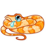 Sneaky Snake WhatsApp Sticker #12