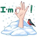 Sticker 17