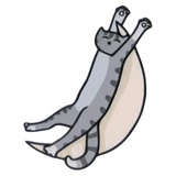 Space Kitties WhatsApp Sticker #12