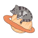 Space Kitties WhatsApp Sticker #3
