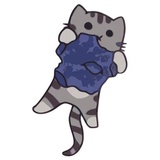 Space Kitties WhatsApp Sticker #6
