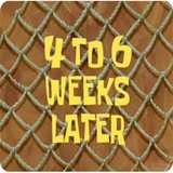 SpongeTime WhatsApp Sticker #16