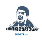 Sports.uz Official WhatsApp Sticker #26