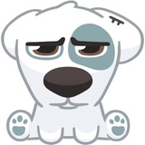 Spotty WhatsApp Sticker #3