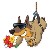 Dobie the Spy WhatsApp Sticker #6