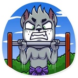 Street Cat WhatsApp Sticker #22