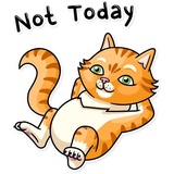 Striped Cat WhatsApp Sticker #12