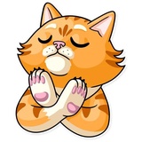 Striped Cat WhatsApp Sticker #16
