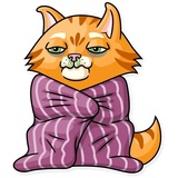 Striped Cat WhatsApp Sticker #19