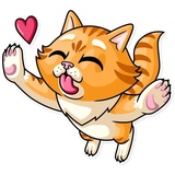 Striped Cat WhatsApp Sticker #2