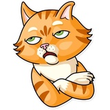 Striped Cat WhatsApp Sticker #20
