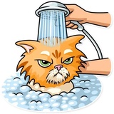 Striped Cat WhatsApp Sticker #22