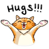 Striped Cat WhatsApp Sticker #23