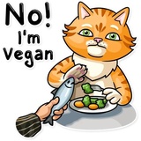 Striped Cat WhatsApp Sticker #25