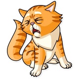 Striped Cat WhatsApp Sticker #26