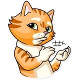 Striped Cat WhatsApp Sticker #29