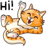 Striped Cat WhatsApp Sticker #5