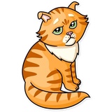 Striped Cat WhatsApp Sticker #8