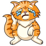 Striped Cat WhatsApp Sticker #9