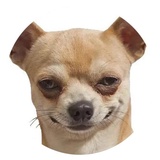 Stupid Dogs WhatsApp Sticker #14