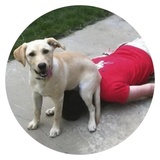 Stupid Dogs WhatsApp Sticker #19