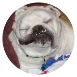 Sticker 6