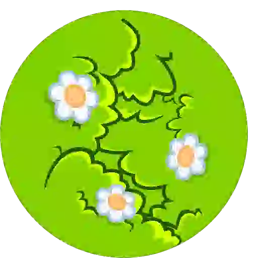 Sticker 5