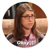 The Big Bang theory WhatsApp Sticker #13