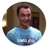 The Big Bang theory WhatsApp Sticker #19