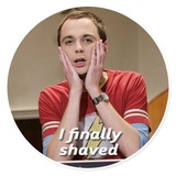 The Big Bang theory WhatsApp Sticker #22