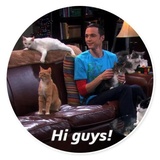 The Big Bang theory WhatsApp Sticker #29