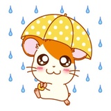 TOTTOKO WhatsApp Sticker #13